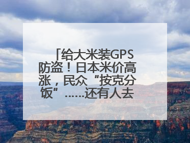 给大米装GPS防盗！日本米价高涨，民众“按克分饭”……还有人去韩国买米