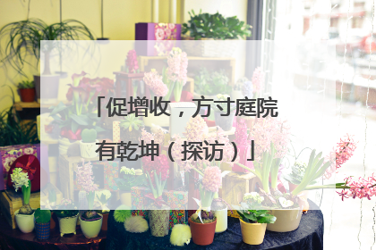 促增收，方寸庭院有乾坤（探访）