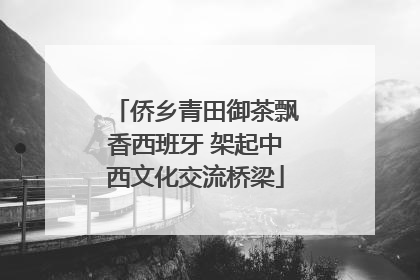 侨乡青田御茶飘香西班牙 架起中西文化交流桥梁
