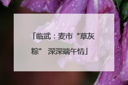 临武：麦市“草灰粽” 深深端午情