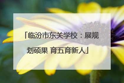 临汾市东关学校：展规划硕果 育五育新人