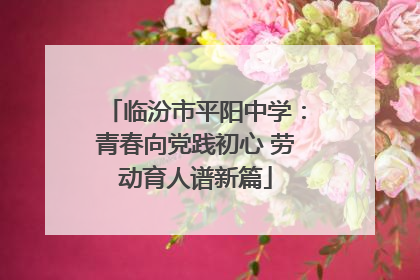 临汾市平阳中学：青春向党践初心 劳动育人谱新篇
