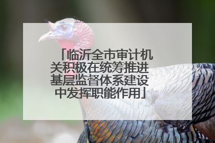 临沂全市审计机关积极在统筹推进基层监督体系建设中发挥职能作用