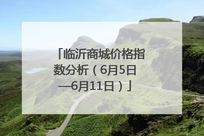 临沂商城价格指数分析（6月5日—6月11日）