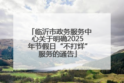 临沂市政务服务中心关于明确2025年节假日“不打烊”服务的通告