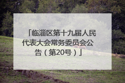 临淄区第十九届人民代表大会常务委员会公告（第20号）