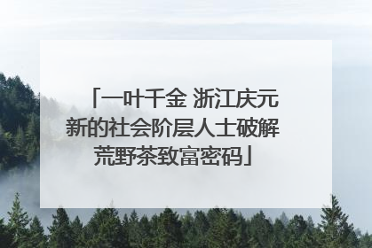 一叶千金 浙江庆元新的社会阶层人士破解荒野茶致富密码