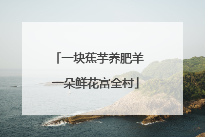 一块蕉芋养肥羊 一朵鲜花富全村