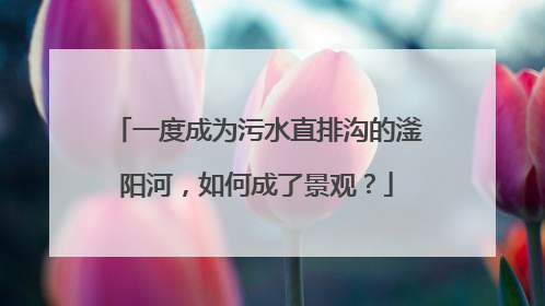 一度成为污水直排沟的滏阳河，如何成了景观？