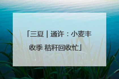 三夏｜通许：小麦丰收季 秸秆回收忙