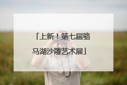 上新！第七届骆马湖沙雕艺术展