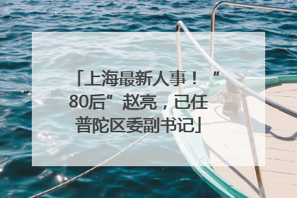 上海最新人事！“80后”赵亮，已任普陀区委副书记