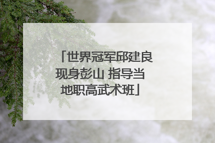 世界冠军邱建良现身彭山 指导当地职高武术班