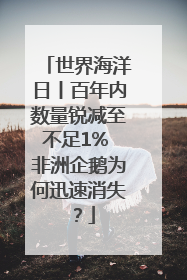 世界海洋日丨百年内数量锐减至不足1% 非洲企鹅为何迅速消失？
