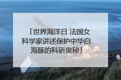 世界海洋日 法国女科学家讲述保护中华白海豚的科研奥秘