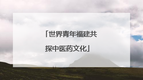 世界青年福建共探中医药文化