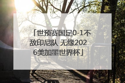 世预赛国足0-1不敌印尼队 无缘2026美加墨世界杯