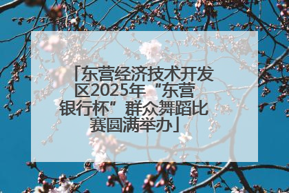 东营经济技术开发区2025年“东营银行杯”群众舞蹈比赛圆满举办