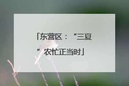 东营区：“三夏”农忙正当时