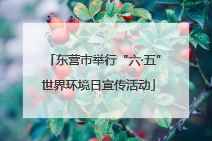 东营市举行“六·五”世界环境日宣传活动
