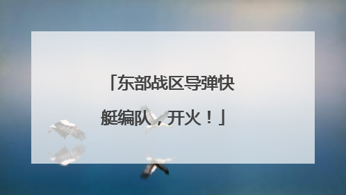 东部战区导弹快艇编队，开火！