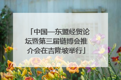 中国—东盟经贸论坛暨第三届链博会推介会在吉隆坡举行