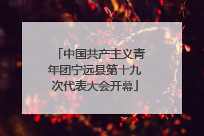 中国共产主义青年团宁远县第十九次代表大会开幕