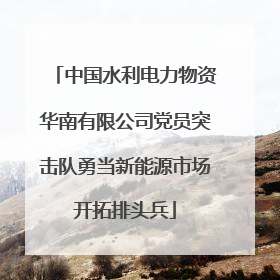 中国水利电力物资华南有限公司党员突击队勇当新能源市场开拓排头兵