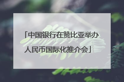 中国银行在赞比亚举办人民币国际化推介会
