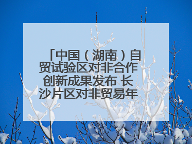 中国（湖南）自贸试验区对非合作创新成果发布 长沙片区对非贸易年均增长141%