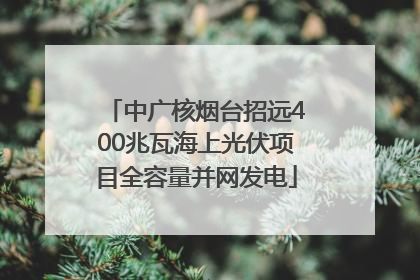 中广核烟台招远400兆瓦海上光伏项目全容量并网发电