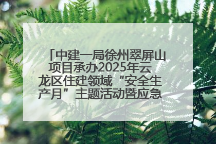 中建一局徐州翠屏山项目承办2025年云龙区住建领域“安全生产月”主题活动暨应急救援演练观摩会
