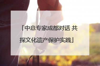 中意专家成都对话 共探文化遗产保护实践