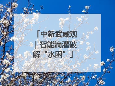 中新武威观｜智能滴灌破解“水困”