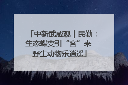 中新武威观｜民勤：生态蝶变引“客”来 野生动物乐逍遥