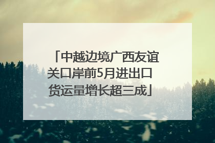 中越边境广西友谊关口岸前5月进出口货运量增长超三成