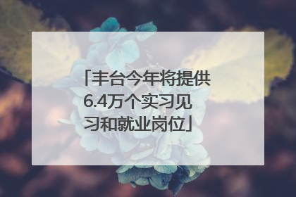 丰台今年将提供6.4万个实习见习和就业岗位