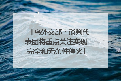 乌外交部：谈判代表团将重点关注实现完全和无条件停火