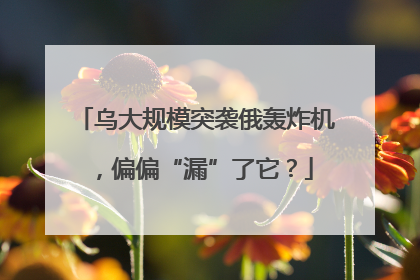 乌大规模突袭俄轰炸机，偏偏“漏”了它？