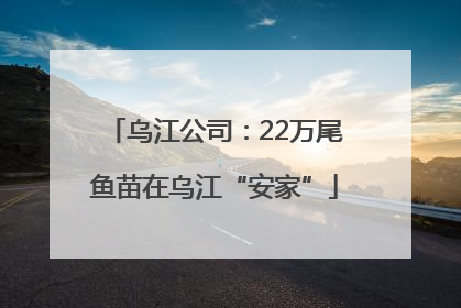 乌江公司：22万尾鱼苗在乌江“安家”