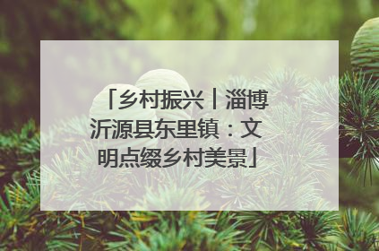 乡村振兴︱淄博沂源县东里镇：文明点缀乡村美景