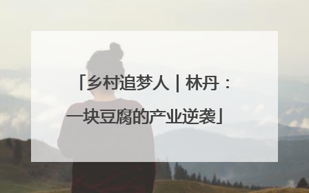 乡村追梦人｜林丹：一块豆腐的产业逆袭