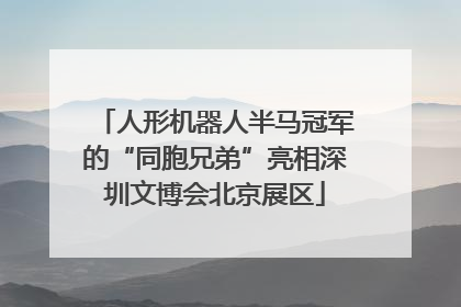人形机器人半马冠军的“同胞兄弟”亮相深圳文博会北京展区