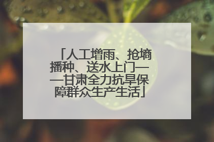 人工增雨、抢墒播种、送水上门——甘肃全力抗旱保障群众生产生活