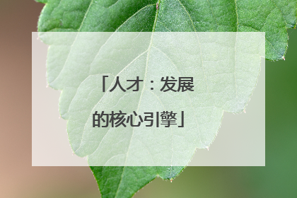 人才：发展的核心引擎