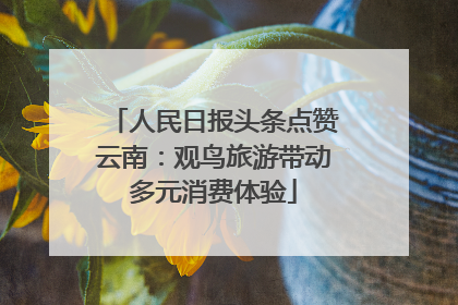人民日报头条点赞云南：观鸟旅游带动多元消费体验