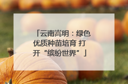 云南嵩明：绿色优质种苗培育 打开“缤纷世界”