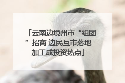 云南边境州市“组团”招商 边民互市落地加工成投资热点