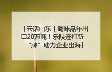云话山东｜调味品年出口20万吨！乐陵连打新“牌”助力企业出海