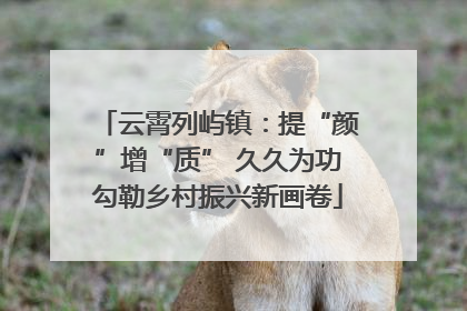 云霄列屿镇：提“颜”增“质” 久久为功勾勒乡村振兴新画卷